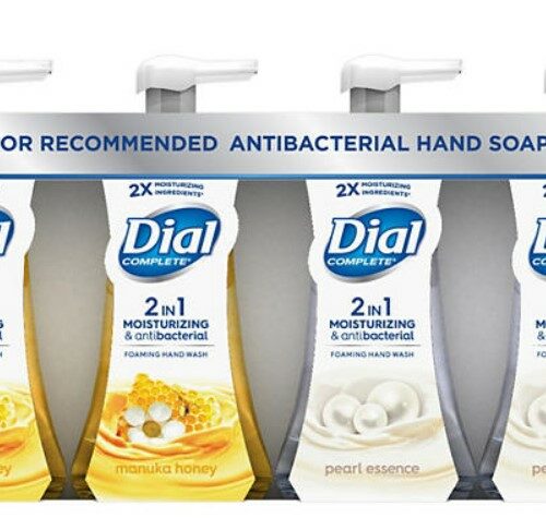 Dial Complete Foaming Hand Wash