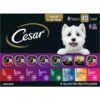 Cesar Classics Canine Wet Dog Food