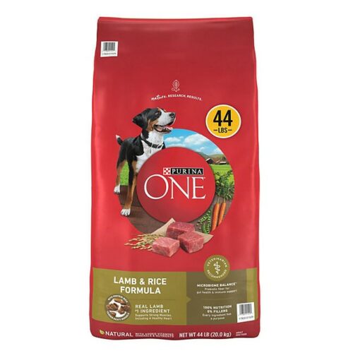 Purina ONE SmartBlend Adult Dry Dog Food