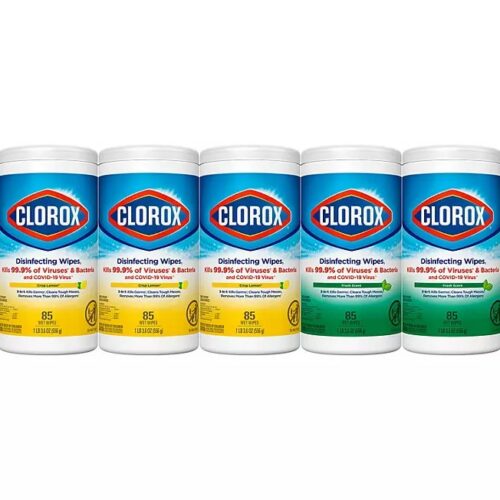 Clorox Disinfecting Bleach-Free Cleaning Wipes