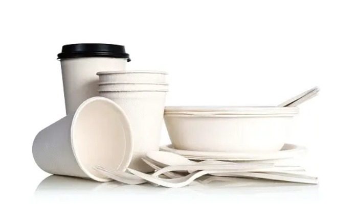 Disposable Tableware